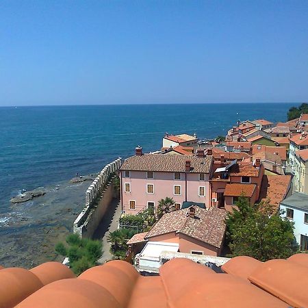 Apartments Edo Novigrad (Istria) Exterior foto