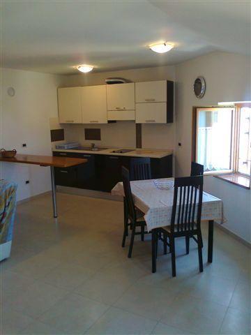 Apartments Edo Novigrad (Istria) Exterior foto